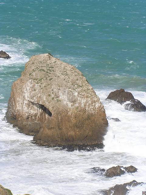 The Catlins Coast 024.jpg